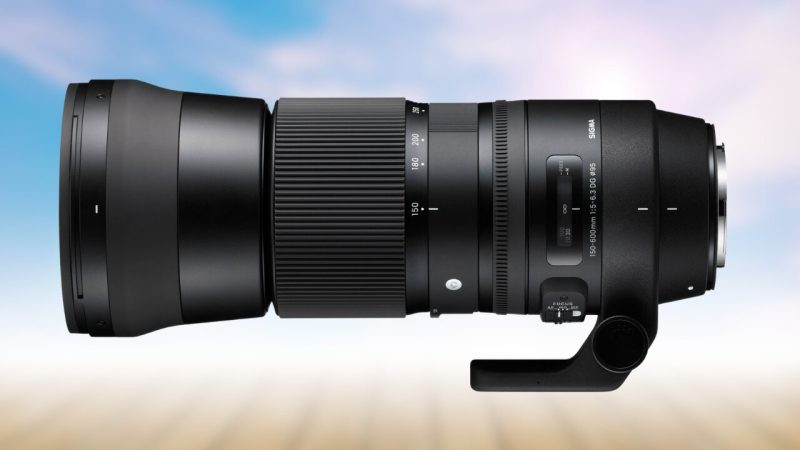 Sigma 150-600 contemporary